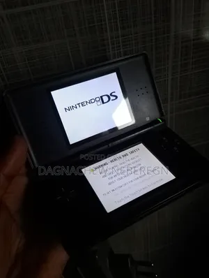 Nintendo DS Lite