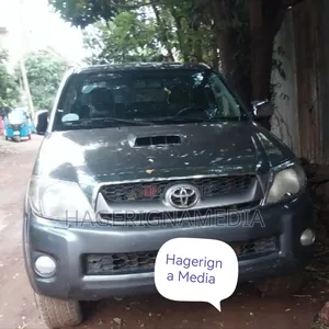 Toyota Hilux 2010 Gray