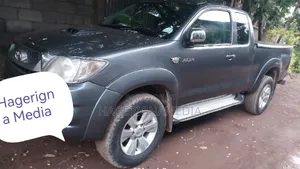 Toyota Hilux 2010 Gray