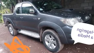 Toyota Hilux 2010 Gray
