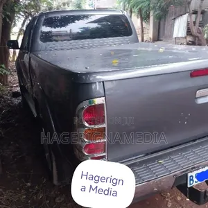 Toyota Hilux 2010 Gray