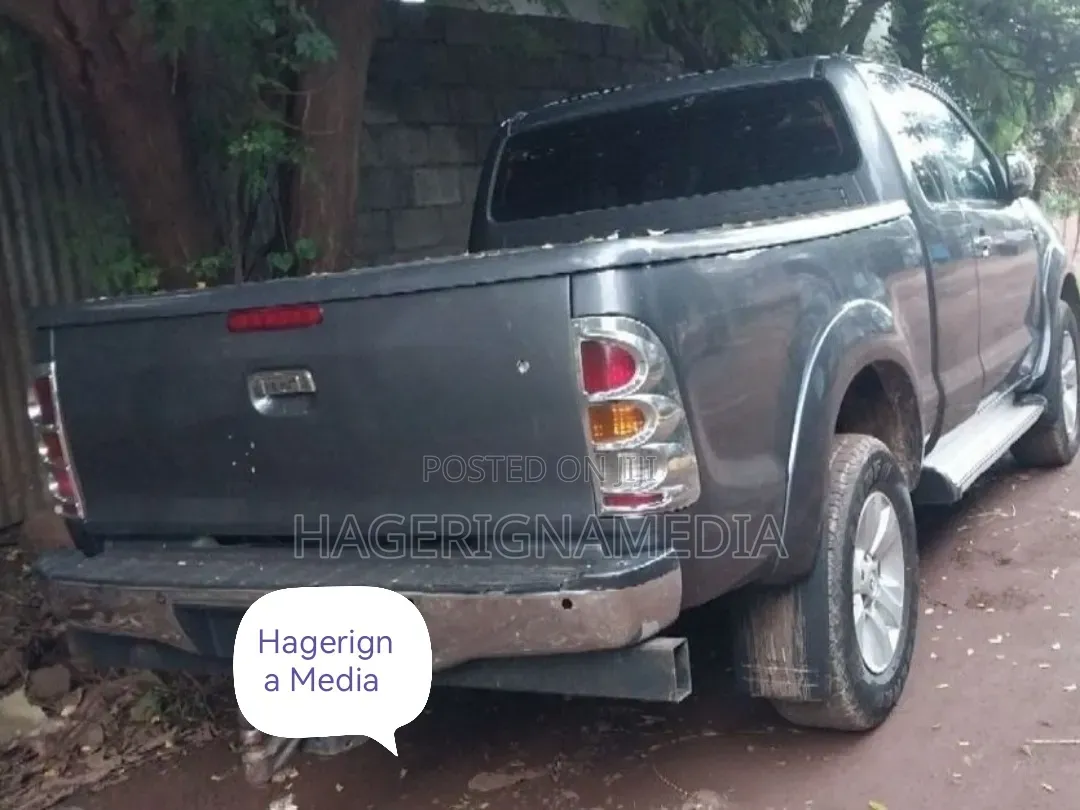 Toyota Hilux 2010 Gray