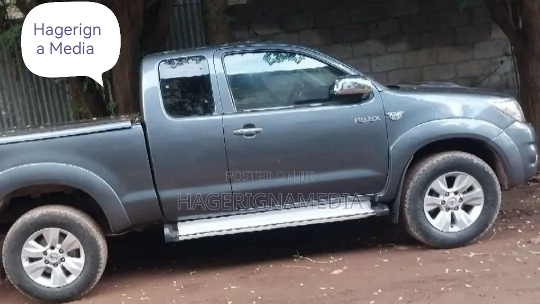 Toyota Hilux 2010 Gray