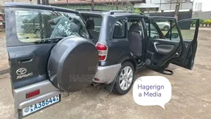 Toyota RAV4 2005 Gray