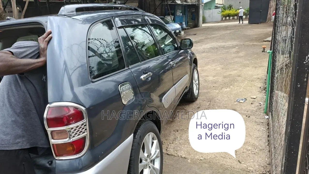 Toyota RAV4 2005 Gray