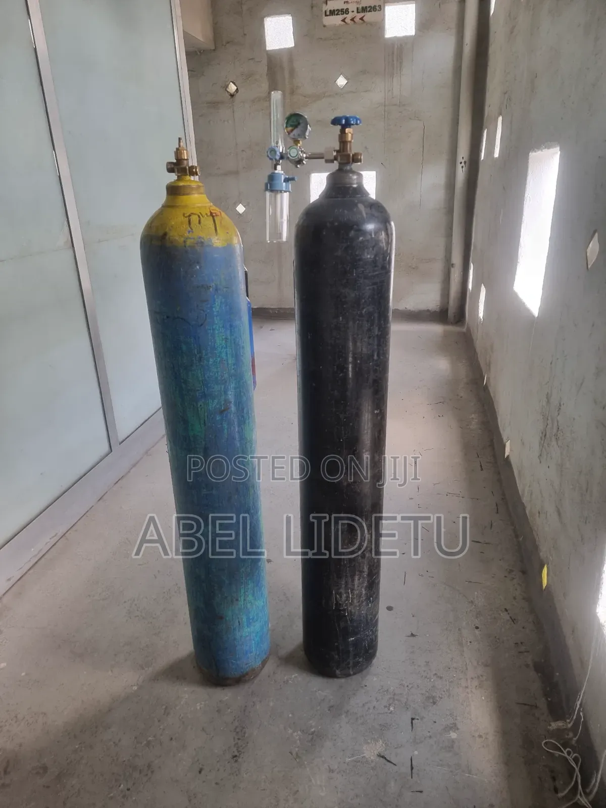 Premium Oxygen Supply Cylinder With Regulator, Nasal Cannula
