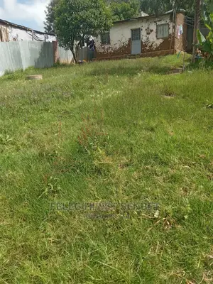 Photo - የሚሸጥ ለ2የሚቆረጥ ቦታ