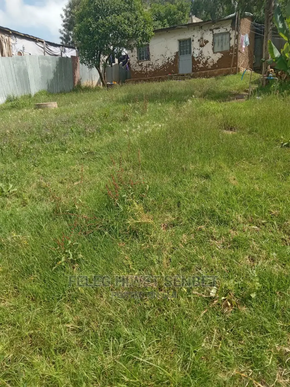 የሚሸጥ ለ2የሚቆረጥ ቦታ