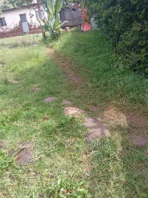 የሚሸጥ ለ2የሚቆረጥ ቦታ