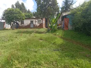 የሚሸጥ ለ2የሚቆረጥ ቦታ