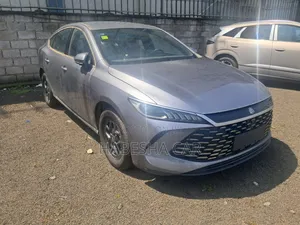 New BYD Qin Plus DM-i 2025 Gray