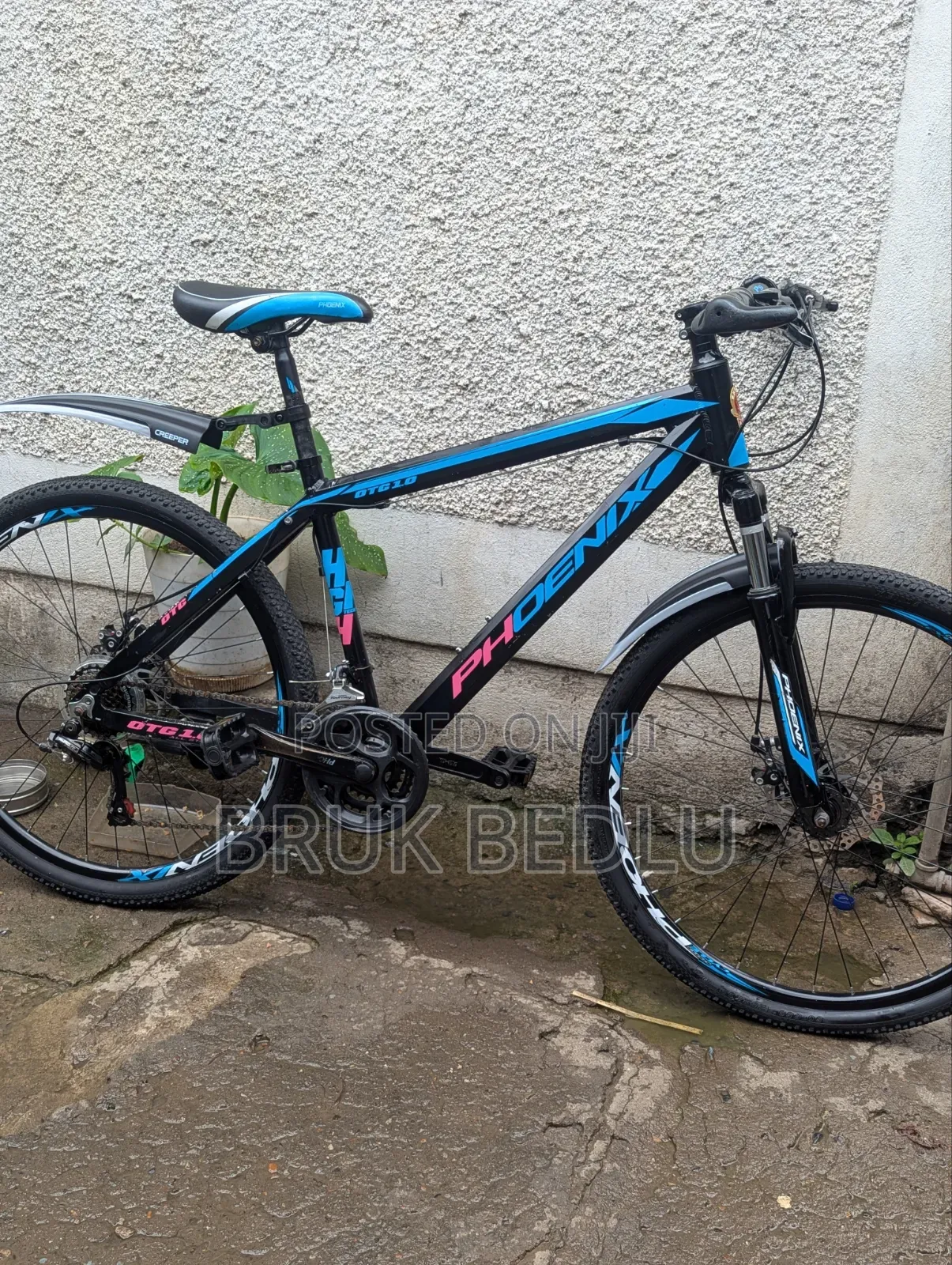 Phönix Aluminium Bike