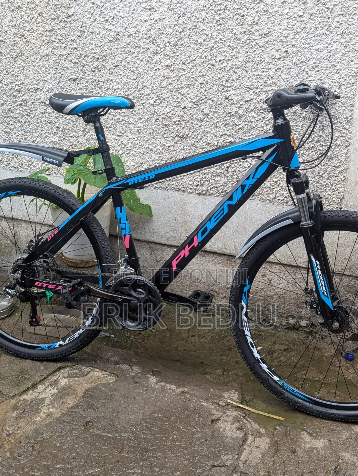 Phönix Aluminium Bike