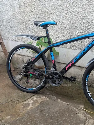 Phönix Aluminium Bike