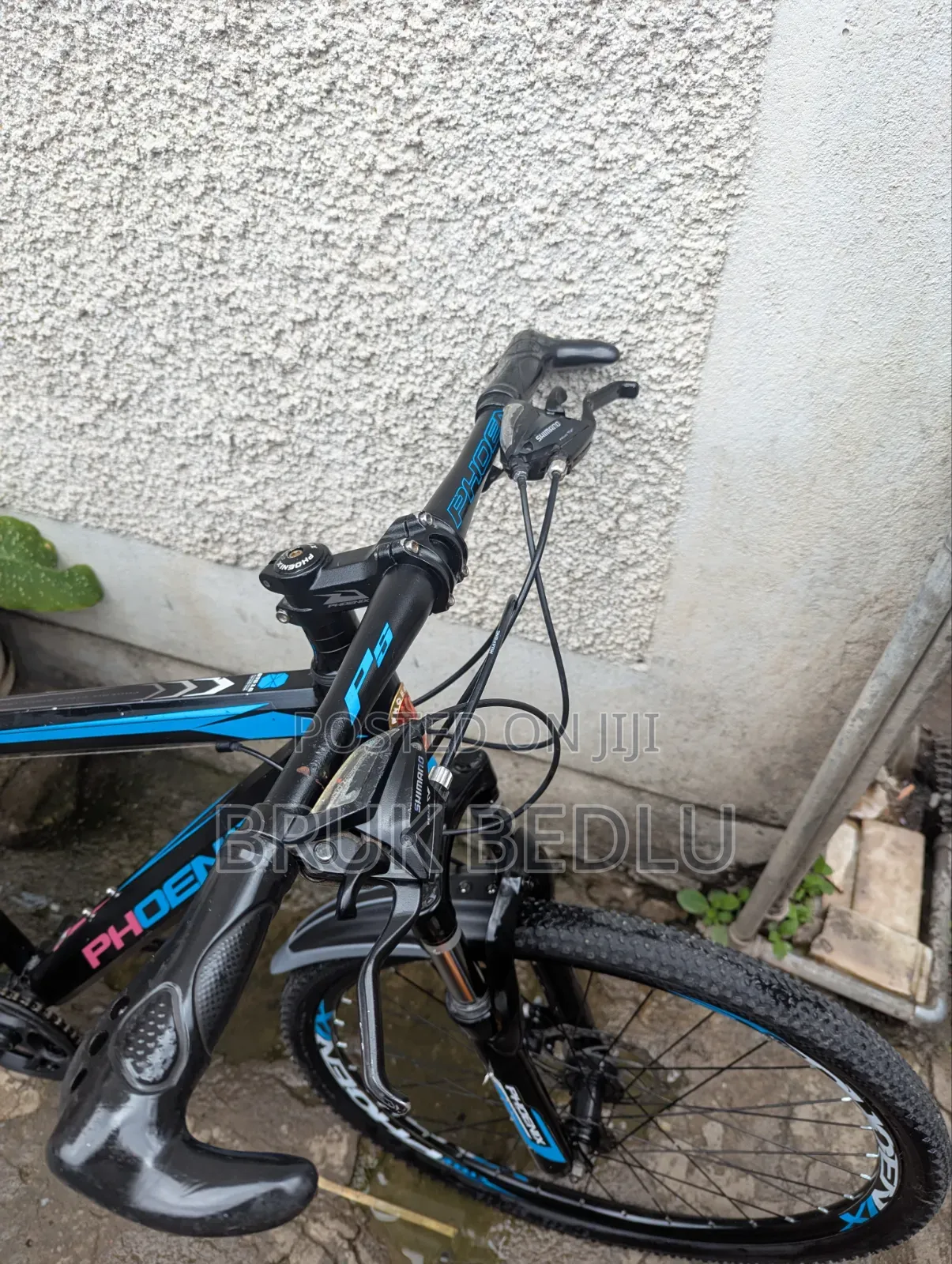 Phönix Aluminium Bike