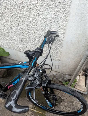 Phönix Aluminium Bike