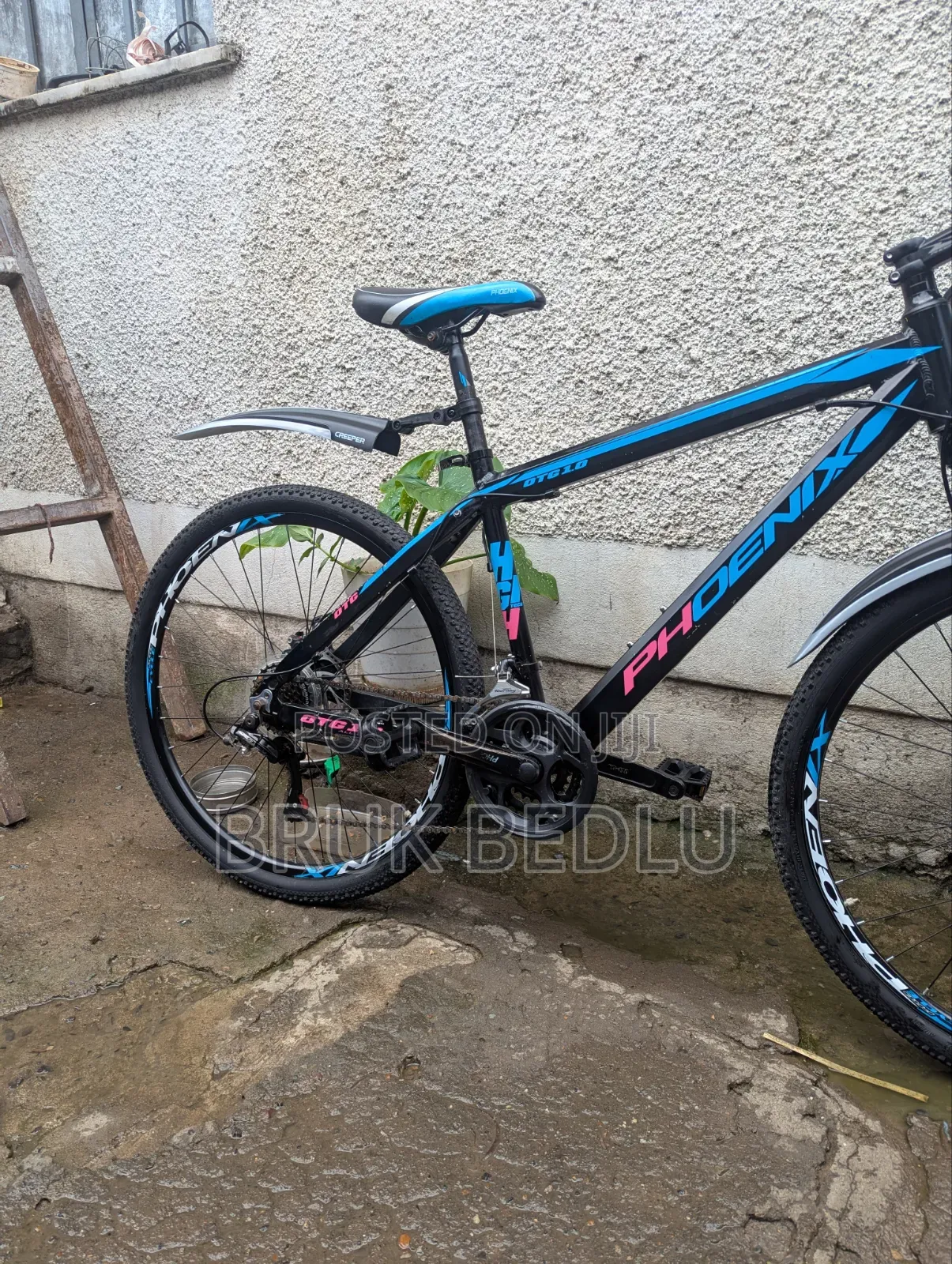 Phönix Aluminium Bike