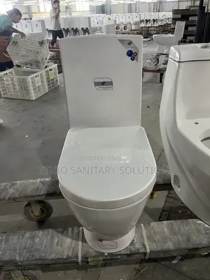 Goldragon Toilet Seat