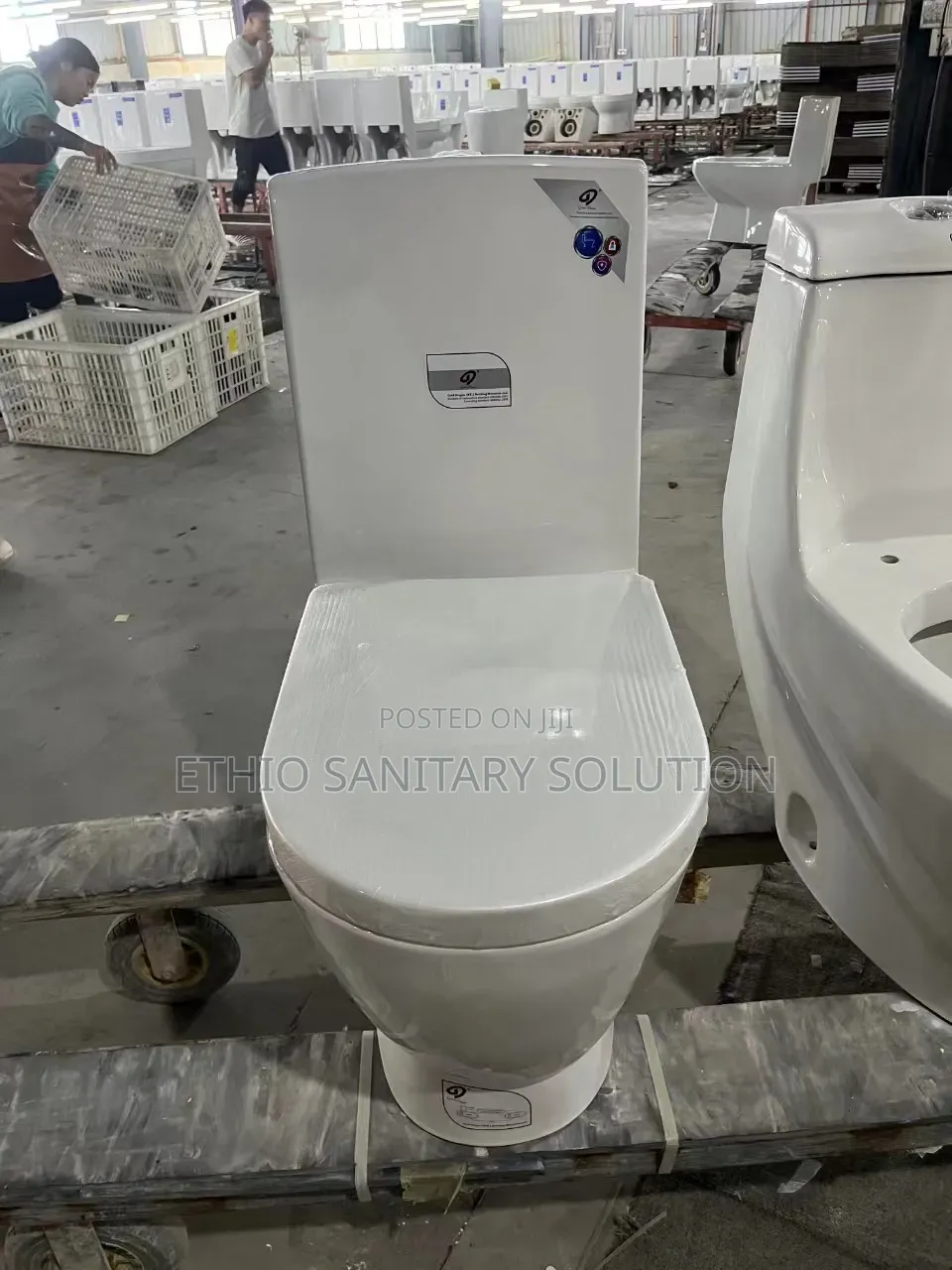 Goldragon Toilet Seat