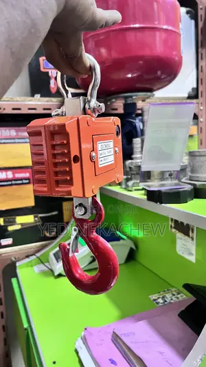 Crane Scale