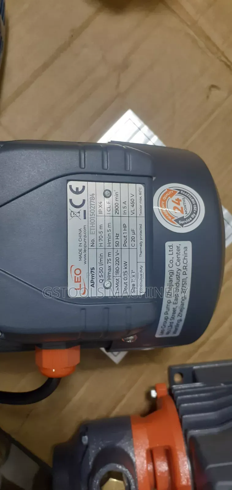 Leo 1hp Weter Pamp