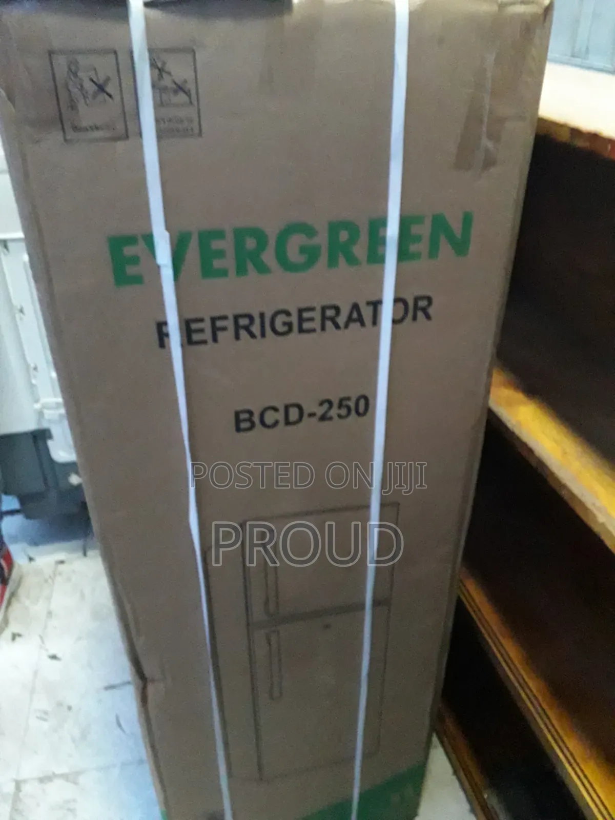Evergreen 250 Model Frigre