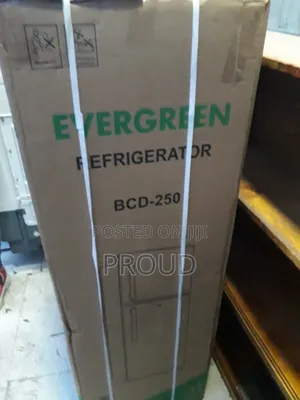 Evergreen 250 Model Frigre