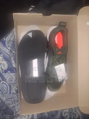 Addidas Shoes