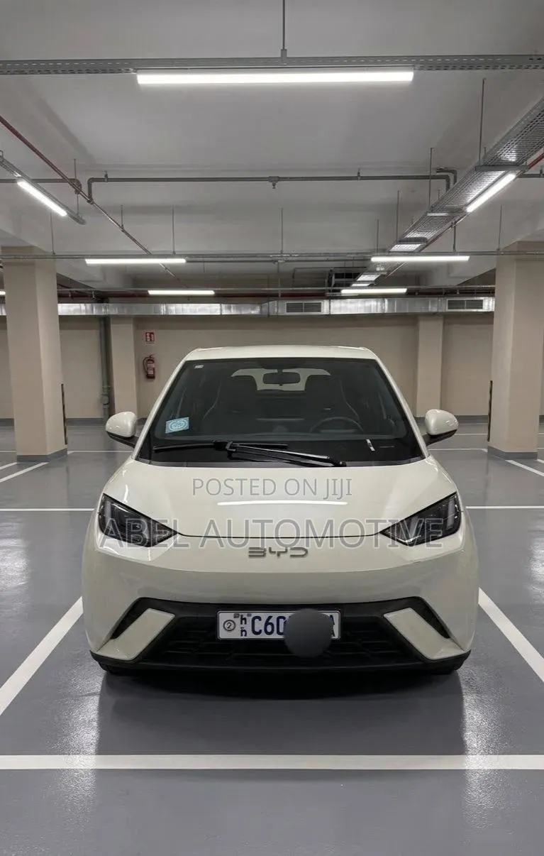 BYD Seagull 2024 White