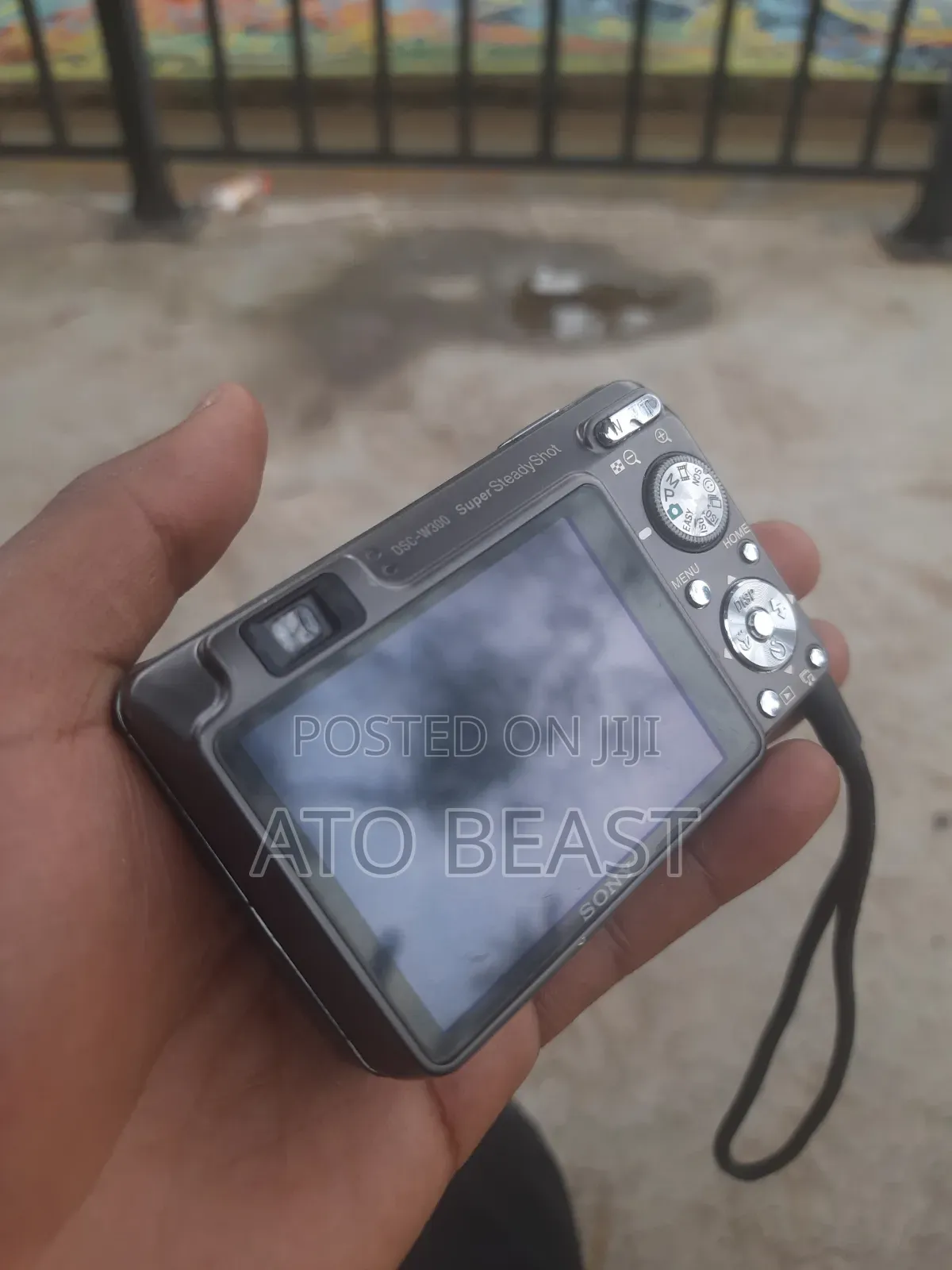 Sony Cyber-Shot DSC-W300, a Compact 13.6-Megapixel