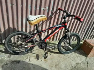 20 Kutr Special Phonex Bicycle