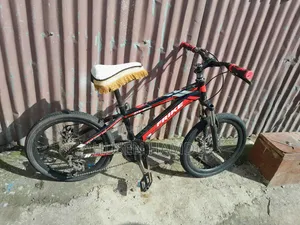 20 Kutr Special Phonex Bicycle