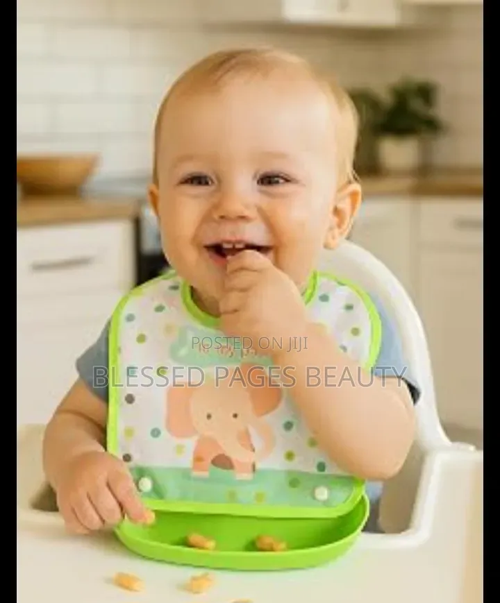 Waterproof 2-in-1 Baby Feeding Bib Comes With a Food Catcher