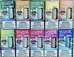 Vozol Vape Puff