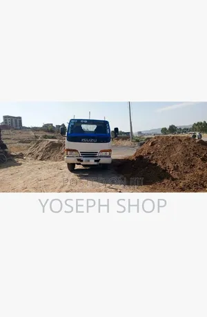 Isuzu NPR Truck