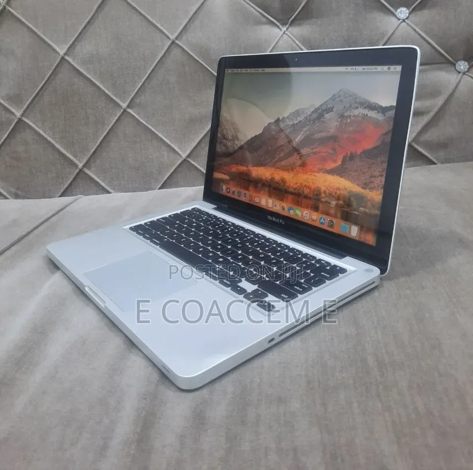 Laptop Apple MacBook 4GB Intel Core i5 HDD 320GB
