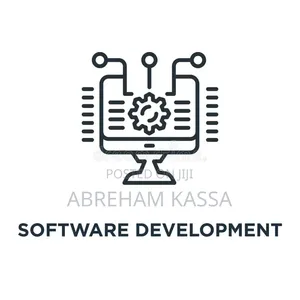 Websites and System Development.
