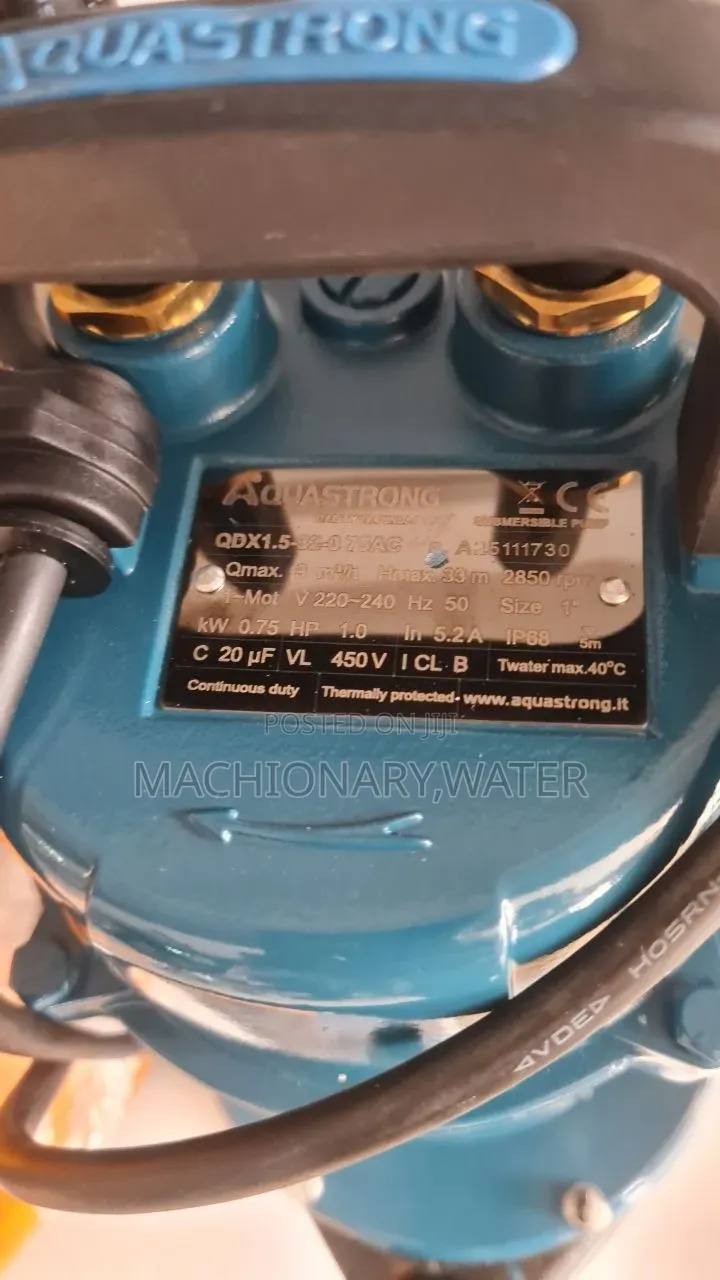 Aquastrong Submersible Water Pump (የጉድጓድ ውሀ ማዉጫ)1hp