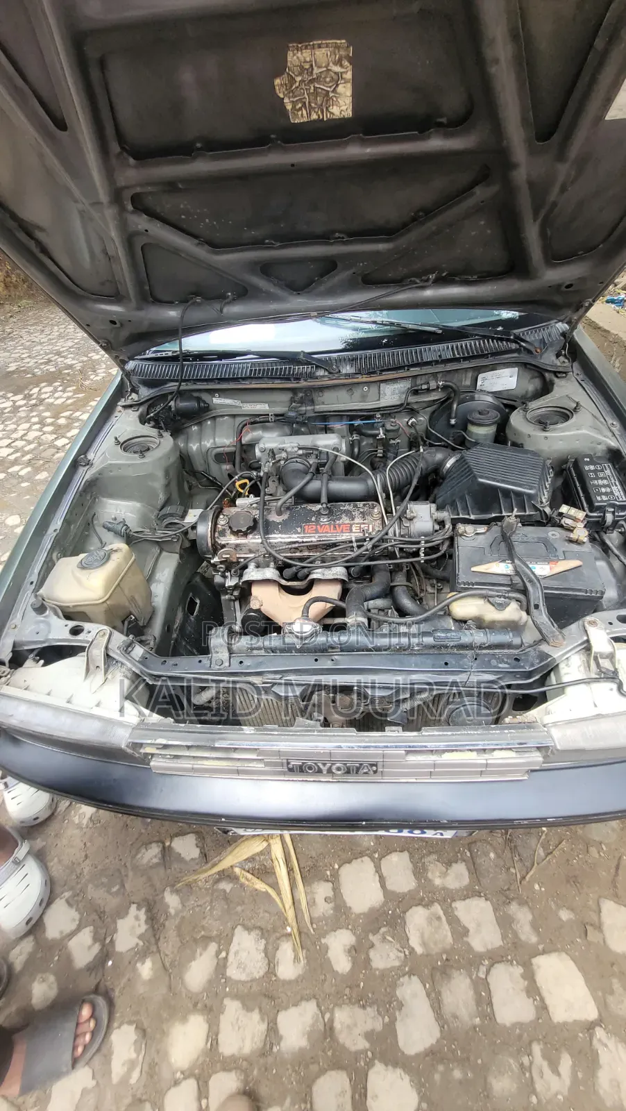 Toyota Corolla 1992 Green