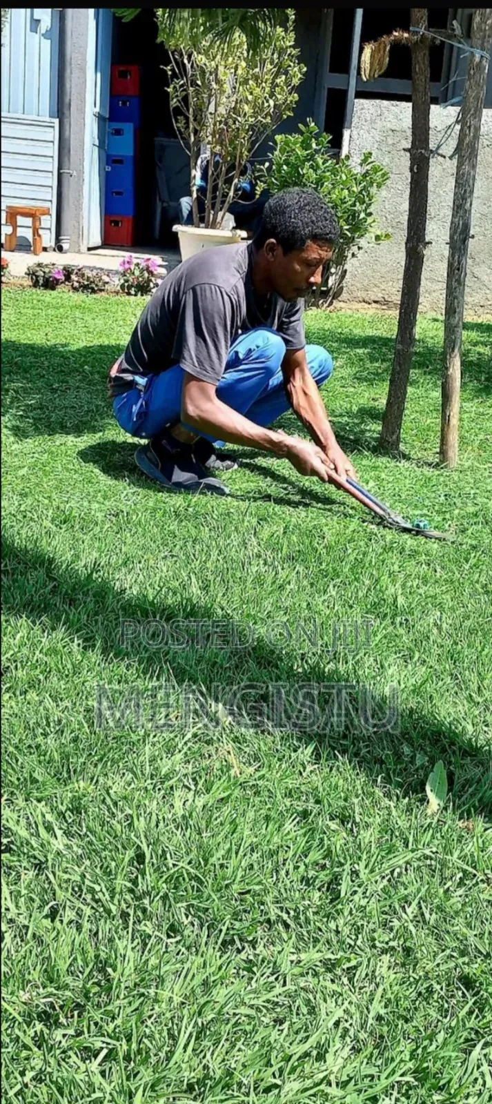 Mengi Garden Planting