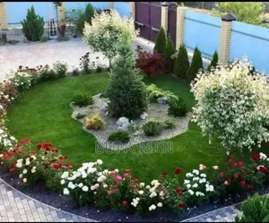 Mengi Garden Planting