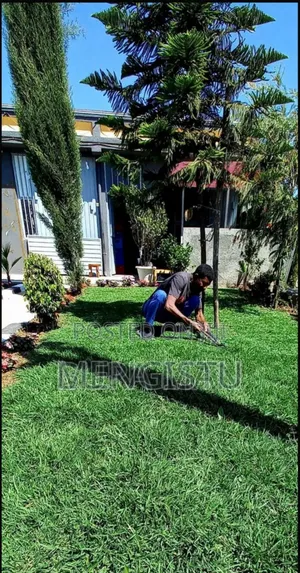 Mengi Garden Planting