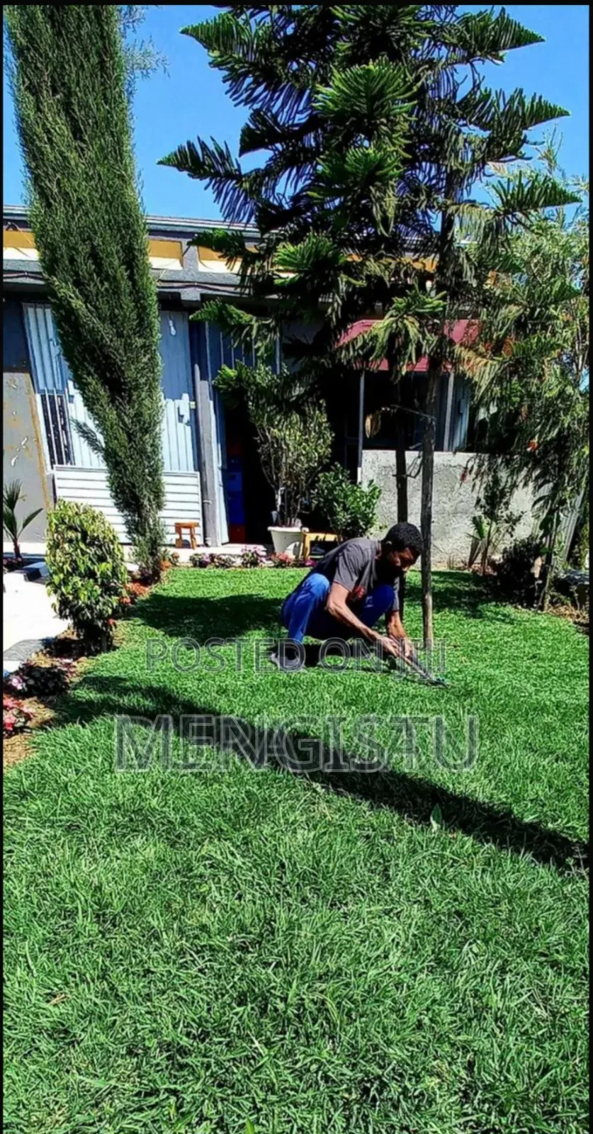 Mengi Garden Planting