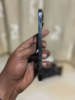 Apple iPhone 13 Pro Max 256 GB Green