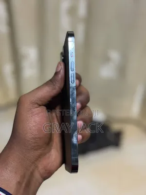 Apple iPhone 13 Pro Max 256 GB Green