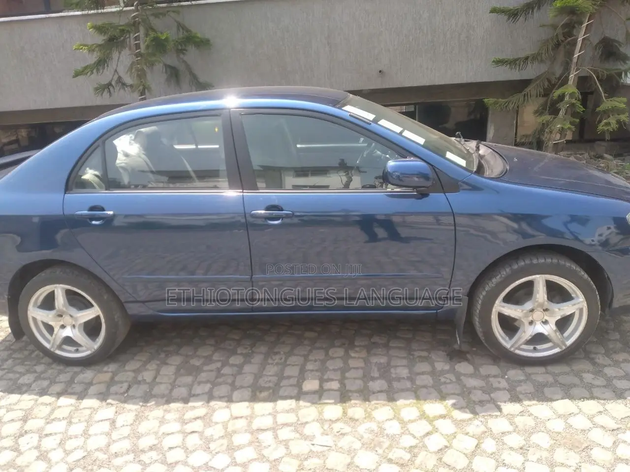 Toyota Corolla 2003 Blue