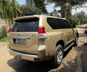Toyota Land Cruiser 2010
