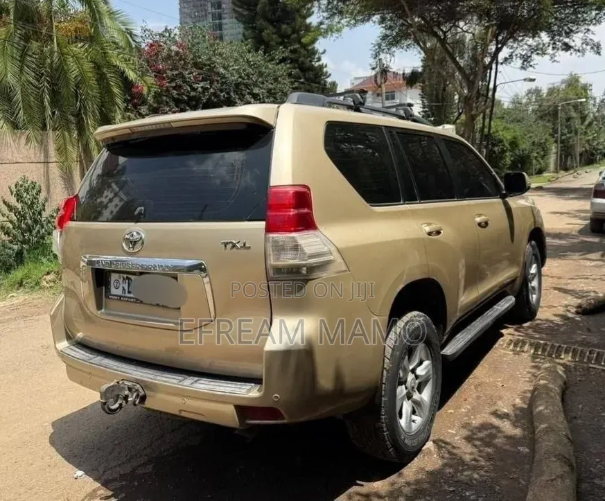 Toyota Land Cruiser 2010