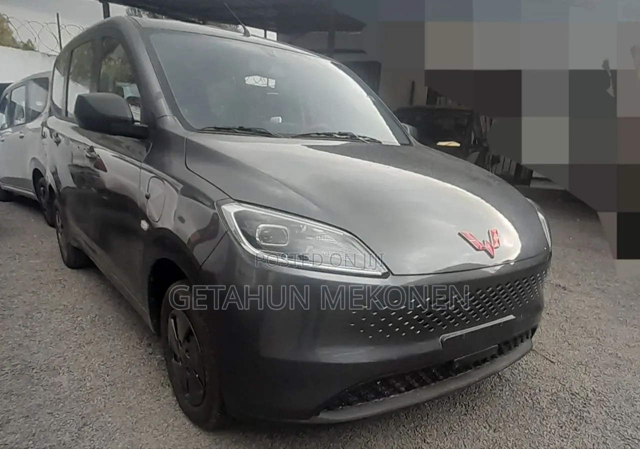 New Wuling Hongguang Plus 2025 Gray