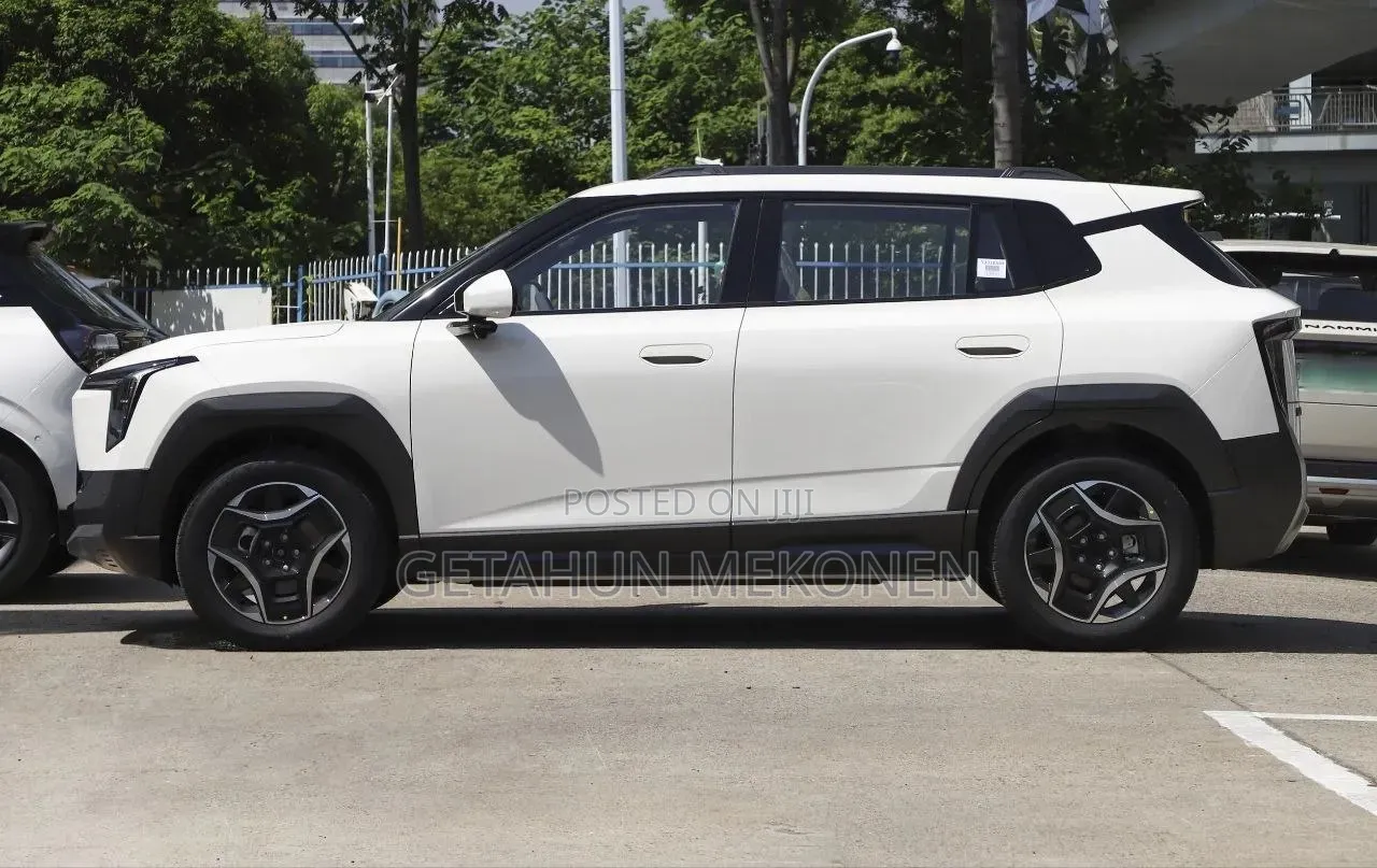 New Dongfeng Nammi Box 2025 White